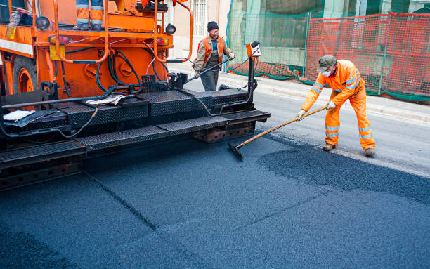 Best Driveway Pressure Washing  in Edgerton, KS